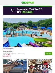 A Deal You Viewed is Now on Sale