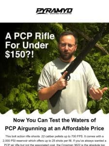 A PCP Rifle Under $150?