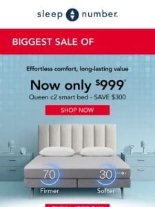 BOGO Free Pillows， Free Delivery All Smart Beds