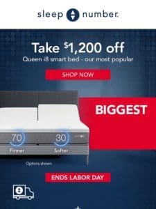 BOGO Free Pillows， Free Delivery On Smart Beds