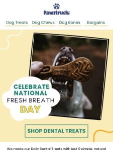 Chews for Doggy Dental Health ????