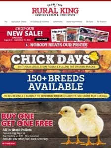 Chick Days are Here! BOGO Pullets In-Store， $2 Off Country Road Feeder or Waterer， Save $99.99 on Universal Chicken Run & More!