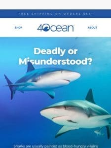 Debunking common myths about sharks ??