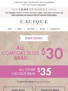 ENDS TODAY! $30 COMFORT BLISS BRAS