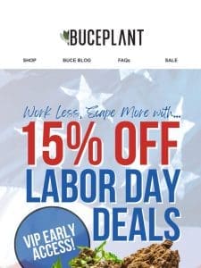 Early Access 15% OFF Labor Day Deals!