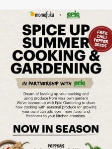 Epic Tips for Summer Cooking with Epic Gardening