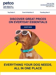 Everyday dog essentials at low prices you’ll love