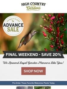 Final Weekend To Save 20% On Perennials