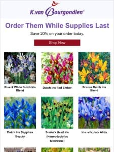 For you， the best deals on iris.