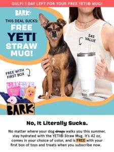 GULP! ??LAST DAY to get your FREE YETI? Mug