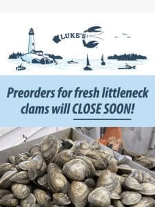 Get ’em while you can: fresh Maine clams?