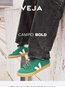 INTRODUCING: CAMPO BOLD