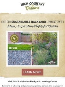 Inspiration To Plan & Plant Your Sustainable Yard