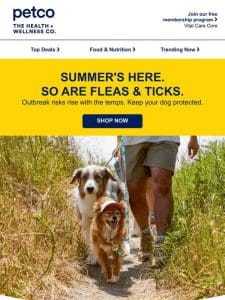 It’s outbreak season for fleas & ticks.