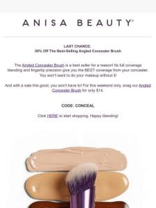 ?? LAST CHANCE ?? $14 Angled Concealer Brush ??