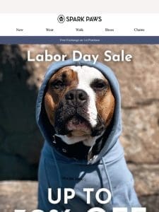 Labor Day Sale – Up to 30% Off