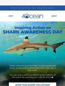 Learn to love sharks on Shark Awareness Day ??