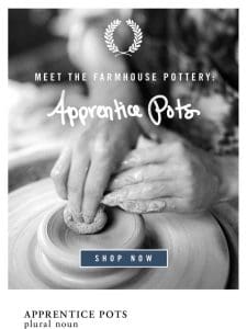 ?? Meet the Apprentice Pots & Potters