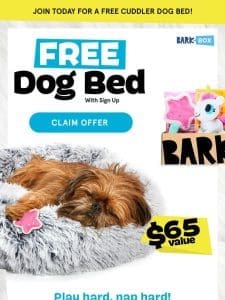 Mondays are rough. Hit snooze & score this free dog bed. ??