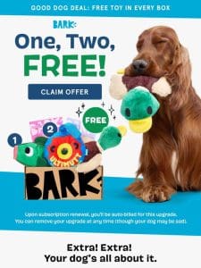 More toys = more dog joy. It’s just math.