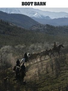 Mule Packing in the Canadian Rockies