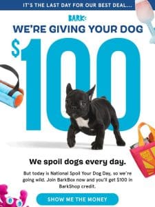 Nat’l Spoil Your Dog Day is over. We’re still spoiling dogs.