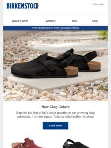 New clog colors