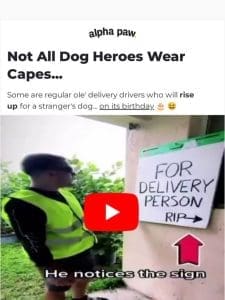 ?? Not all dog heroes wear capes… (Feel-good video)