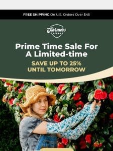 ?? Our Prime Time Sale Will Be Gone SOON!