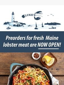 ?? PREORDER *fresh* Maine lobster meat today ??