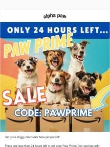 Paw Prime: Only 24 hours left to save an extra 25% ??