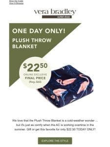 Plush Throw Blankets: $22.50 TODAY ONLY!