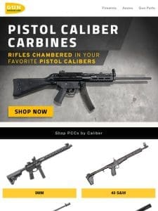 Rifles Chambered in your favorite Pistol Calibers. Shop PCCs now.