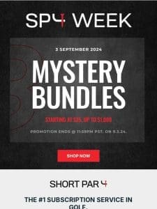 SP4 Week Day 4: Mystery Bundles Starting at $25