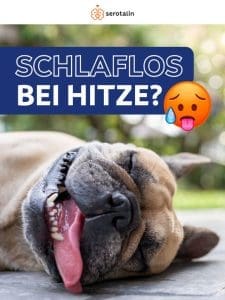 Schlaflos bei Extrem-Hitze ?