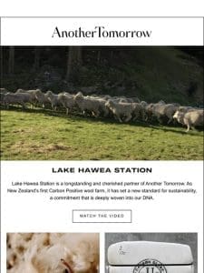 Shearing Season at Lake Hawea Station