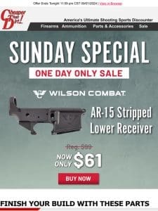 Start Your Build With This $61 Stripped Lower