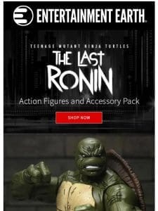 TMNT The Last Ronin Action figures and Accessory pack!