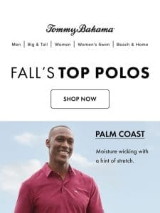 The Best Polos for Autumn & Beyond