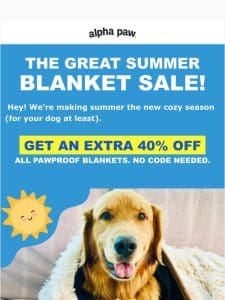 ?? The Great Summer Dog Blanket Sale! ??