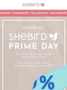 Tomorrow — SheBird Prime