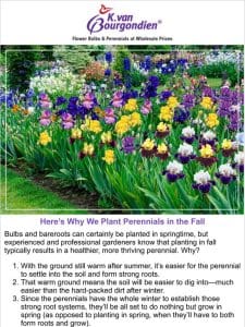 Top 3 Reasons to Plant in Fall Instead of Spring