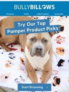 Top Pamper Products For Your Pooch ??