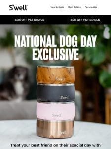 Treat Your Pet This National Dog Day: 50% Off Pet Bowls Today