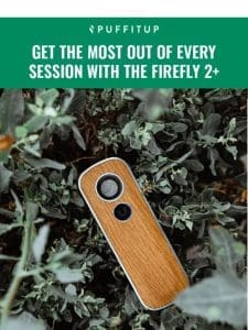 Unlocking the Full Potential of Your Firefly 2+