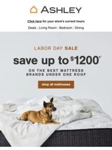 Up to $1200 Off Mattresses – Shop Now!