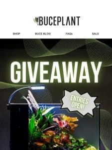 We’re Giving Away an AIO Aquarium!