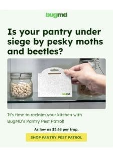 Why Pantry Pest Patrol is Your Best Friend?