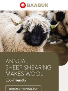 Wool: biodegradable and beautiful ??