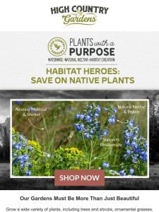 You Can Be A Habitat Hero – Grow Native Plants